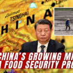 China’s intensifying focus on food security