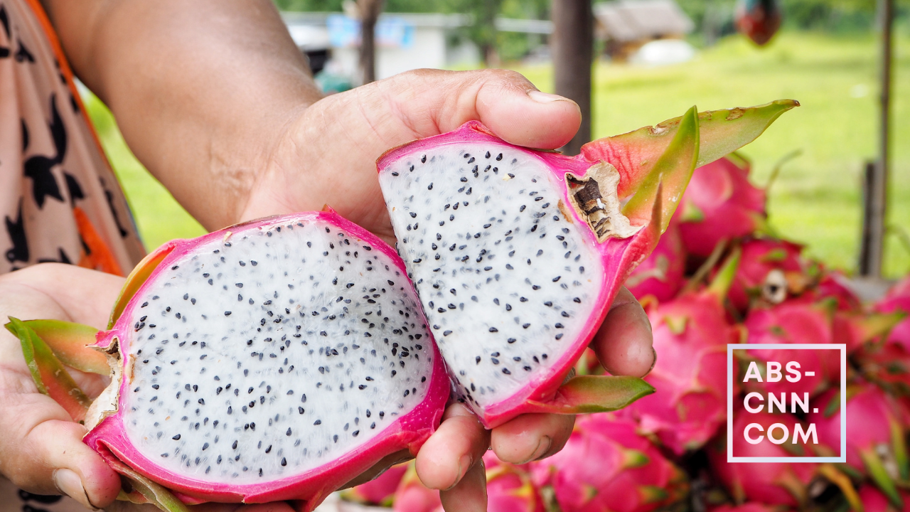 The Incredible Health Benefits of Dragon Fruit